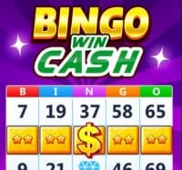 Skillz Bingo Win Cash